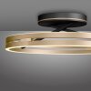 Paul Neuhaus lights Loop ceiling light LED gold, black, 2-light sources, Remote control