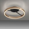 Paul Neuhaus lights Loop ceiling light LED gold, black, 2-light sources, Remote control