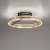 Paul Neuhaus lights Loop ceiling light LED gold, black, 2-light sources, Remote control