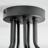 Ripoll ceiling light, globe light Amber, clear, 7-light sources