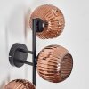 Ripoll globe light, wall light coppery, 3-light sources