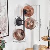 Ripoll globe light, wall light clear, coppery, 3-light sources