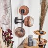 Ripoll globe light, wall light clear, coppery, 3-light sources