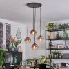 Koyoto hanging light, globe light, Cluster pendant lamp clear, coppery, 4-light sources