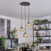 Ripoll hanging light, globe light, Cluster pendant lamp Amber, 3-light sources