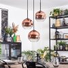 Ripoll hanging light, globe light, Cluster pendant lamp clear, coppery, 3-light sources