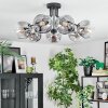 Ripoll ceiling light, globe light clear, Smoke-coloured, 7-light sources
