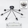 Ripoll ceiling light, globe light clear, Smoke-coloured, 7-light sources