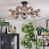 Ripoll ceiling light, globe light clear, Smoke-coloured, 7-light sources