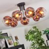 Ripoll ceiling light, globe light clear, coppery, 7-light sources