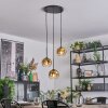 Ripoll hanging light, globe light, Cluster pendant lamp gold, clear, 3-light sources