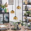 Ripoll hanging light, globe light, Cluster pendant lamp gold, clear, 3-light sources