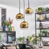 Ripoll hanging light, globe light, Cluster pendant lamp gold, clear, 3-light sources