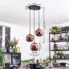 Ripoll hanging light, globe light, Cluster pendant lamp coppery, 3-light sources
