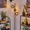 Ripoll floor lamp Smoke-coloured, 3-light sources