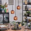 Ripoll hanging light, globe light, Cluster pendant lamp coppery, 3-light sources