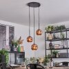 Ripoll hanging light, globe light, Cluster pendant lamp coppery, 3-light sources