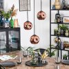 Ripoll hanging light, globe light, Cluster pendant lamp coppery, 3-light sources