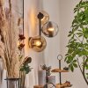 Gastor globe light, wall light Amber, clear, Smoke-coloured, 3-light sources