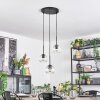 Ripoll hanging light, globe light, Cluster pendant lamp clear, 3-light sources