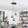 Ripoll hanging light, globe light, Cluster pendant lamp Smoke-coloured, 3-light sources
