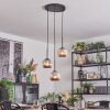Ripoll hanging light, globe light, Cluster pendant lamp chrome, Smoke-coloured, 3-light sources