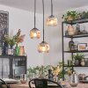 Ripoll hanging light, globe light, Cluster pendant lamp chrome, clear, Smoke-coloured, 3-light sources
