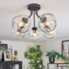 Ripoll ceiling light, globe light clear, 5-light sources