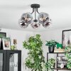 Ripoll ceiling light, globe light chrome, clear, Smoke-coloured, 5-light sources