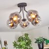 Ripoll ceiling light, globe light chrome, clear, Smoke-coloured, 5-light sources