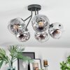 Ripoll ceiling light, globe light chrome, clear, Smoke-coloured, 5-light sources