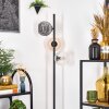 Ripoll floor lamp Amber, clear, Smoke-coloured, 3-light sources