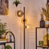 Ripoll floor lamp Amber, clear, Smoke-coloured, 3-light sources