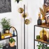 Ripoll floor lamp gold, clear, 3-light sources