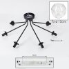 Ripoll ceiling light, globe light clear, 7-light sources
