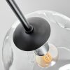 Ripoll ceiling light, globe light clear, 7-light sources