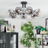 Ripoll ceiling light, globe light chrome, clear, Smoke-coloured, 7-light sources