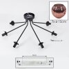 Ripoll ceiling light, globe light coppery, 7-light sources