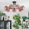 Ripoll ceiling light, globe light clear, coppery, 7-light sources