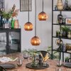 Ripoll hanging light, globe light, Cluster pendant lamp coppery, 3-light sources