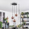 Ripoll hanging light, globe light, Cluster pendant lamp coppery, 3-light sources