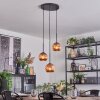 Ripoll hanging light, globe light, Cluster pendant lamp coppery, 3-light sources