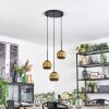 Ripoll hanging light, globe light, Cluster pendant lamp gold, 3-light sources