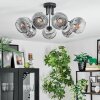 Ripoll ceiling light, globe light chrome, clear, Smoke-coloured, 7-light sources