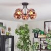 Ripoll ceiling light, globe light clear, coppery, 5-light sources
