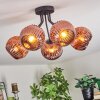 Ripoll ceiling light, globe light coppery, 5-light sources