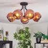 Ripoll ceiling light, globe light coppery, 5-light sources