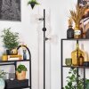 Ripoll floor lamp clear, 3-light sources