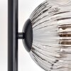 Ripoll floor lamp chrome, clear, Smoke-coloured, 3-light sources