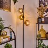 Ripoll floor lamp gold, clear, coppery, Smoke-coloured, 3-light sources